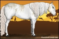 Horse Color:White Spotted Silver Amber Champagne Ice Rabicano 