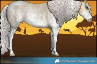 Horse Color:White Spotted Silver Sable Champagne Ice Rabicano 