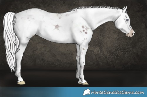 Horse Color:White Spotted Chocolate Silver Buckskin Chinchilla Ice Sabino 