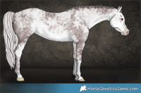 Horse Color:White Spotted Chocolate Silver Buckskin Chinchilla Ice Sabino 