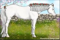 Horse Color:Silver Perlino Dun
