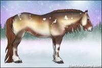 Horse Color:White Spotted Liver Red Onyx