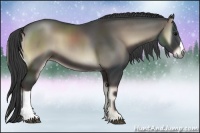 Horse Color:Smoky Blue Onyx