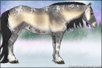 Horse Color:Brown Ice Onyx Sabino