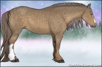 Horse Color:Chocolate Palomino 