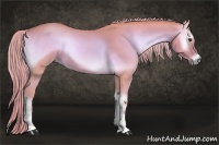 Horse Color:Watercolor Palomino Roan Onyx
