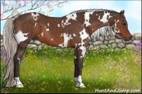 Horse Color:White Spotted Silver Brown