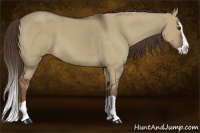 Horse Color:Liver Red Dun Splash 