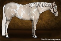 Horse Color:White Spotted Chocolate Palomino Pearl 