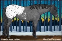 Horse Color:Blue Roan Appaloosa 
