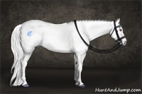 Horse Color:Chestnut Chinchilla 