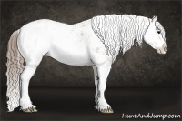 Horse Color:Black Ice Pearl Sabino 