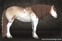 Horse Color:Blue Onyx Pearl Sabino