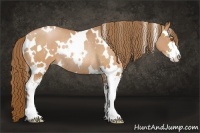 Horse Color:White Spotted Brown Pearl Sabino Rabicano