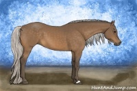 Horse Color:Silver Buckskin 
