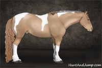 Horse Color:Liver Chestnut Pearl Sabino Tobiano Rabicano