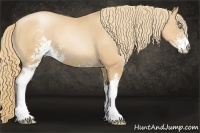 Horse Color:Gold Champagne Pearl Sabino
