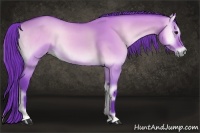 Horse Color:Watercolor Buckskin Onyx