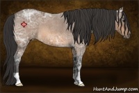 Horse Color:Buckskin Ice Roan