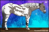 Horse Color:Grullo Tobiano Frame