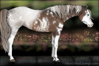 Horse Color:White Spotted Liver Chestnut Splash 