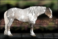 Horse Color:White Spotted Liver Chestnut Sabino