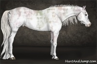 Horse Color:Silver Grullo Ice Splash