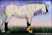 Horse Color:Nacre Watercolor Brown Ice Dun Sabino Splash Rabicano