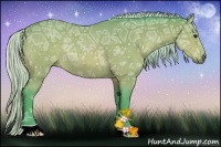 Horse Color:Watercolor Silver Bay Ice Rabicano 