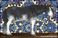 Horse Color:White Spotted Black Splash