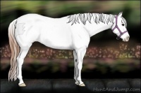 Horse Color:Bay Tobiano Varnish 