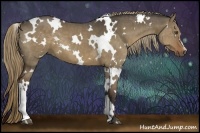 Horse Color:White Spotted Liver Red Dun 