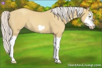 Horse Color:Silver Classic Champagne Dun Splash Frame 