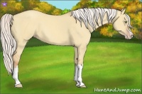 Horse Color:Silver Classic Champagne Dun Splash Frame 