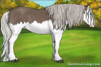 Horse Color:Silver Black Splash 