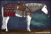 Horse Color:Silver Black Splash