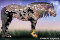 Horse Color:Nacre White Spotted Bay Ice Sabino Frame 