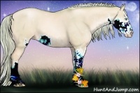 Horse Color:Watercolor Chocolate Palomino Pearl Dun Sabino