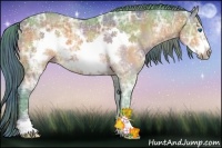 Horse Color:Nacre Watercolor Bay Ice Sabino Frame