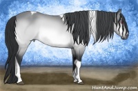 Horse Color:Bay Chinchilla Tobiano