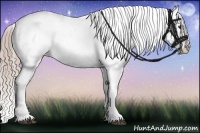 Horse Color:Chocolate Palomino Sabino Splash Appaloosa 