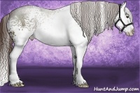 Horse Color:White Spotted Liver Chestnut Sabino Splash