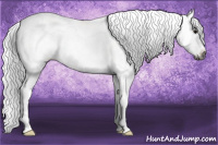 Horse Color:Gray Brown Roan Dun Frame Rabicano