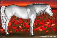 Horse Color:White Spotted Silver Brown Chinchilla Onyx Splash