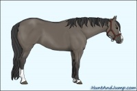 Horse Color:Smoky Grullo Sabino
