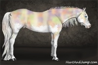 Horse Color:Nacre Silver Classic Cream Champagne Splash