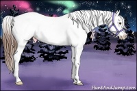 Horse Color:Chestnut Sabino Splash Near Fewspot