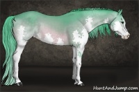 Horse Color:Watercolor Buckskin Splash