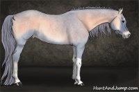 Horse Color:Watercolor Smoky Blue Onyx Roan Rabicano 