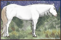 Horse Color:Buckskin Appaloosa